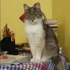 Отзыв от Кристина Носкова